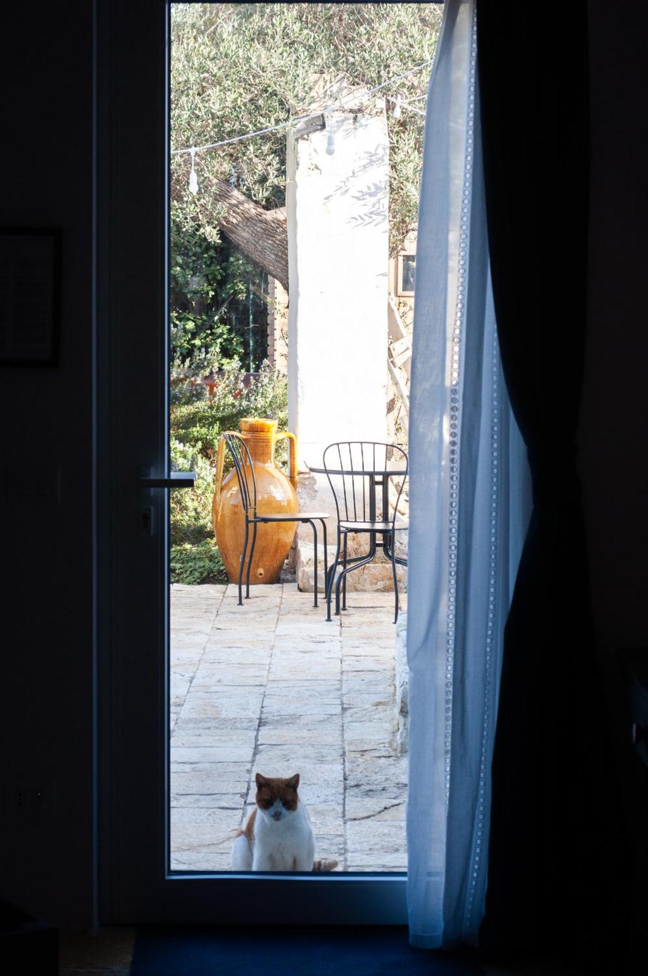 Casale Petrarolo Bed and Breakfast Monopoli Eksteriør billede